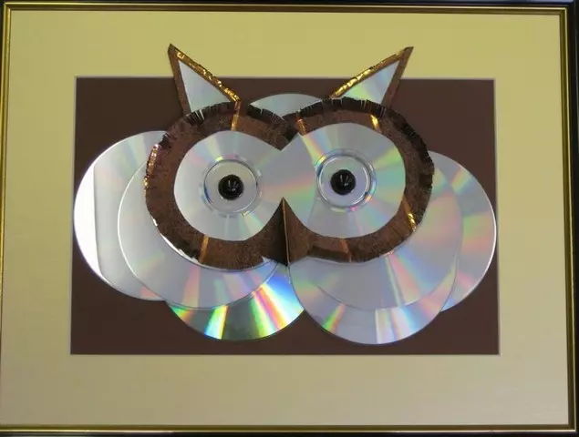 Para os amantes da música: artesanía de discos de CD para casa e por dar as súas propias mans (65 fotos)
