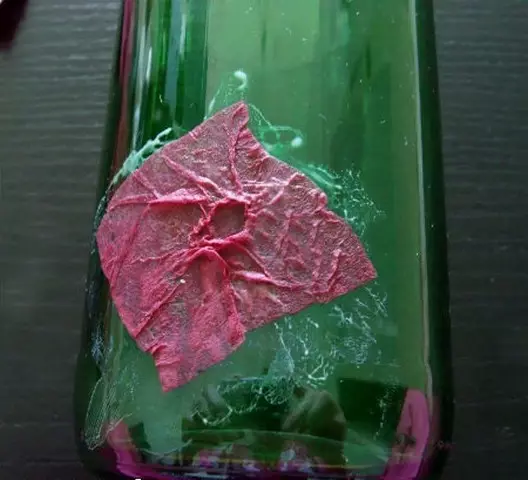 Vasos de botellas de vidro coas súas propias mans: Masterclass + 24 Fotos
