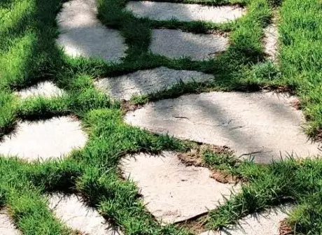 Stone Garden Tracks: Van beton, baksteen, klippies, gruis, teëls en nie net nie (40 foto's)