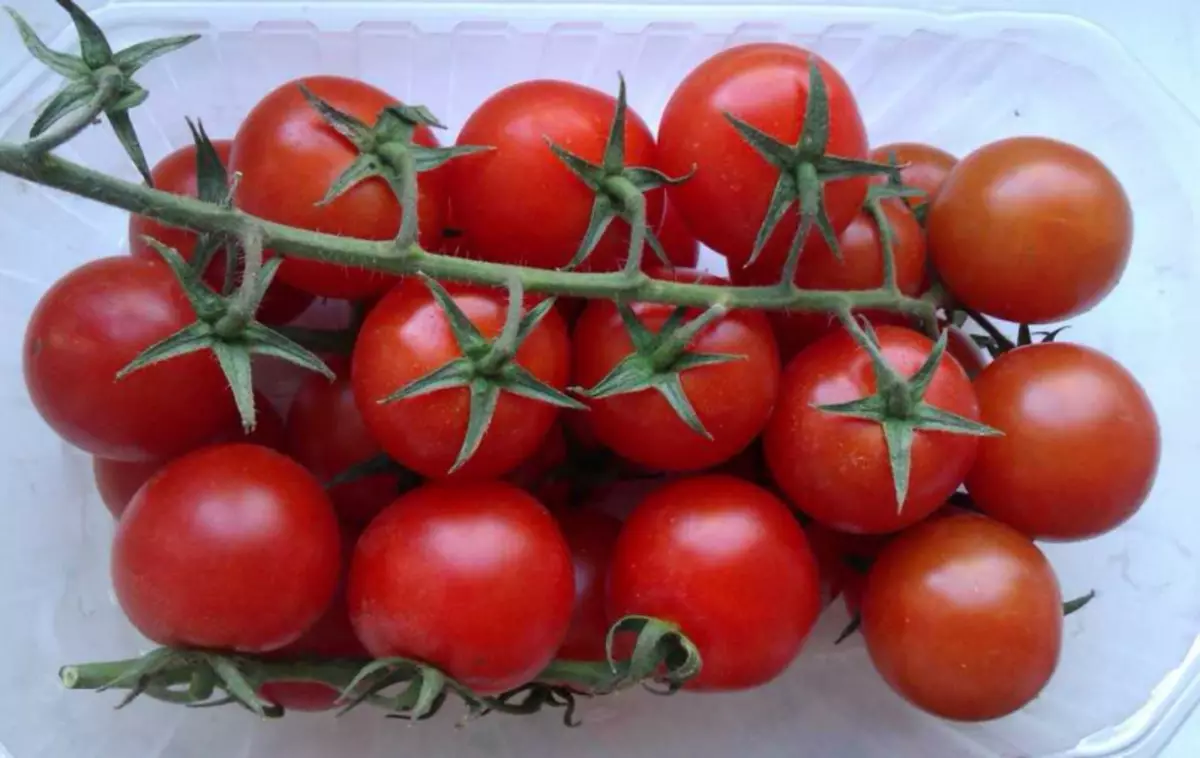 Nou grandi tomat Cherry sou balkon la: konsèy itil