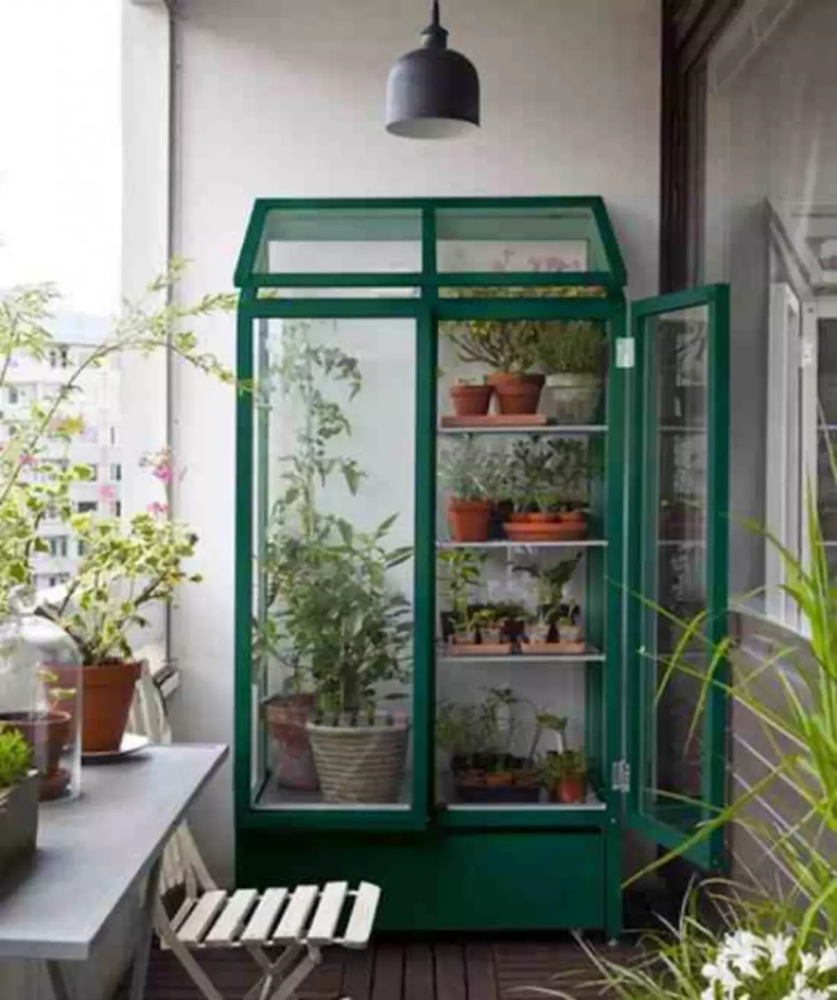 Vi organiserar ett växthus för balkongen: växthus utan att gå hem