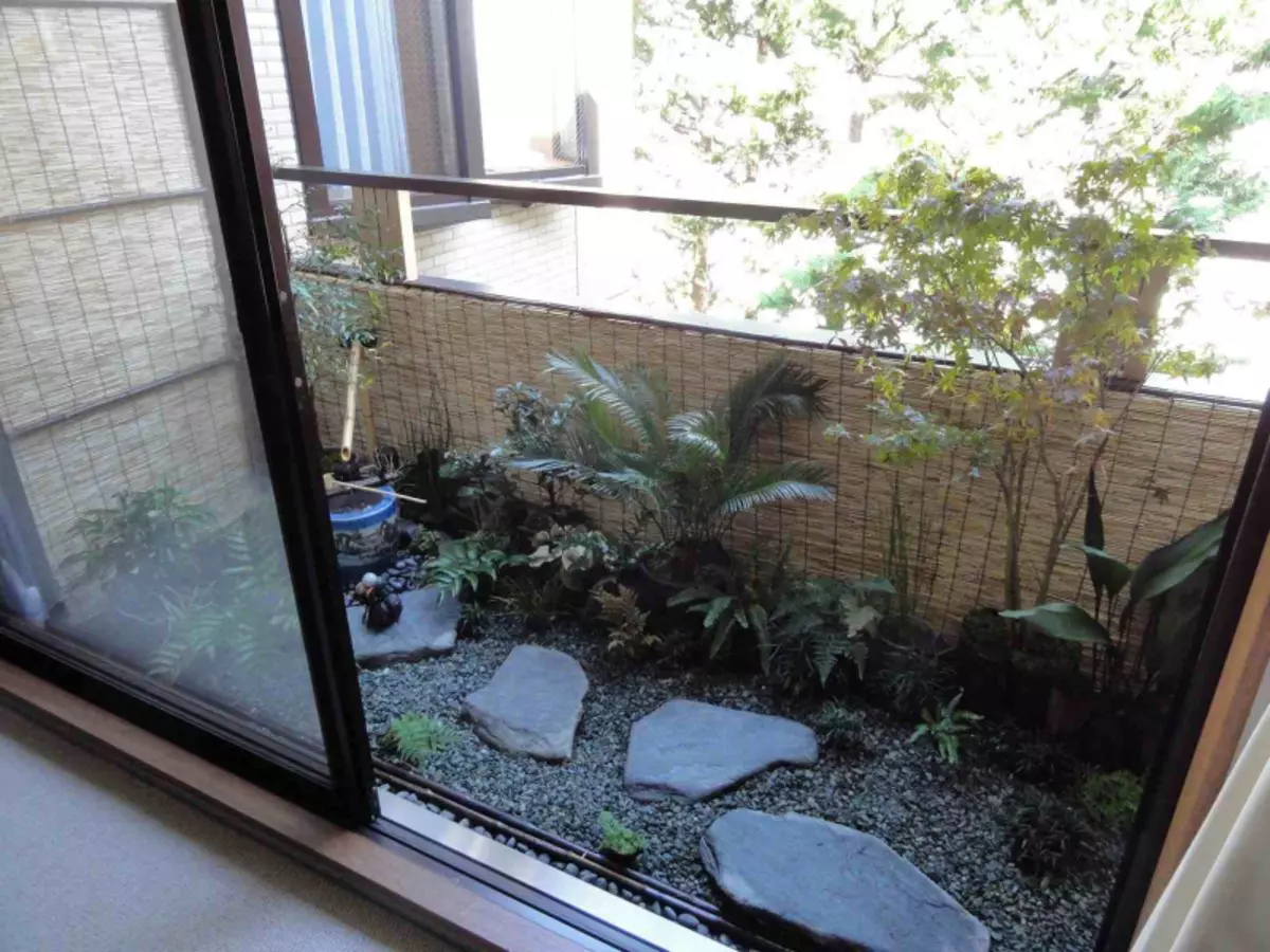 Vi organiserer et drivhus for balkongen: drivhus uten å forlate hjemmet