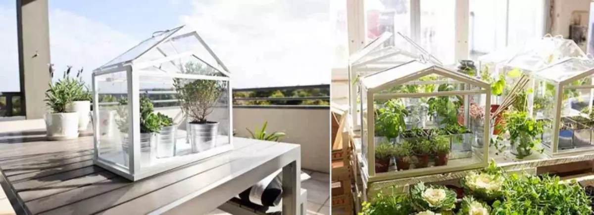 Ni organizas forcejon por la balkono: Greenhouse sen forlasi hejmon