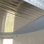 Metal Suspended Ceilings: Hvordan det ser ut, verdigheten og ulempene