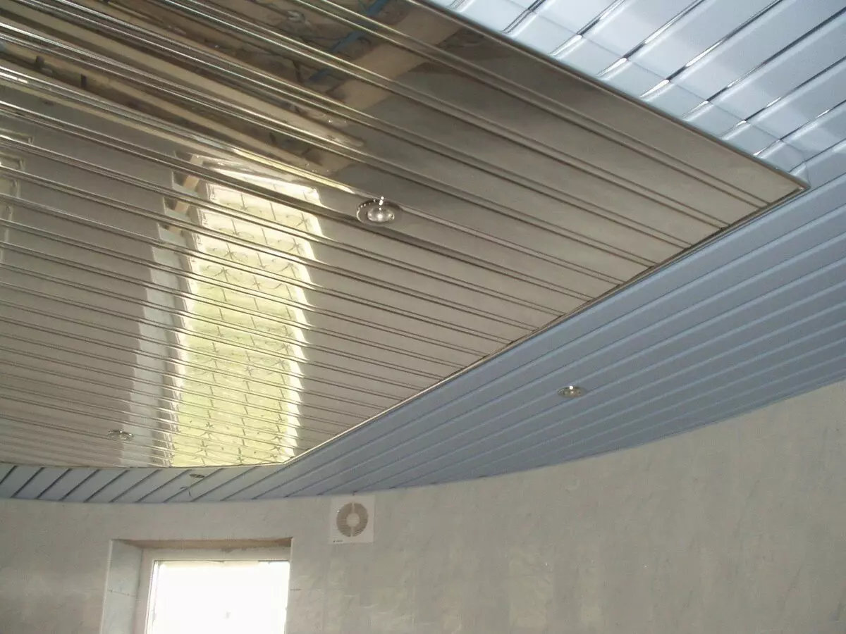 Metal Suspended Ceilings: Hvordan det ser ut, verdigheten og ulempene