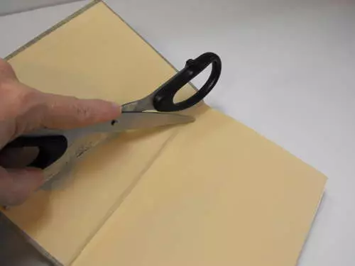 საფარის ელექტრონული წიგნი საკუთარი ხელებით