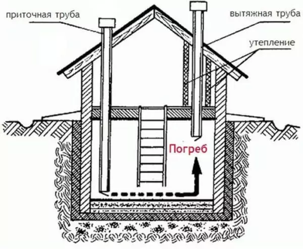 Жертөледе немесе жертөледе қалыптан құтылуға көмектесетін құралдар