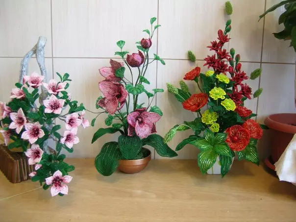 Maģistra klases ziedi no krelles: video par savvaļas ziediem un kokiem podos