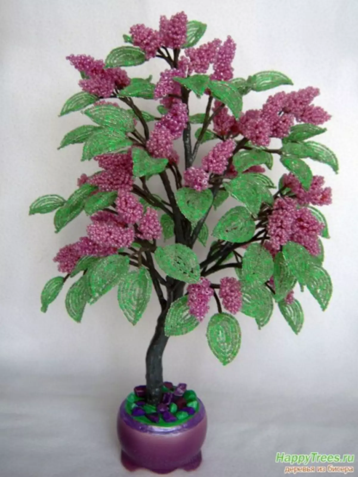 Bunga kelas induk dari manik: video tentang bunga liar dan pokok di dalam periuk