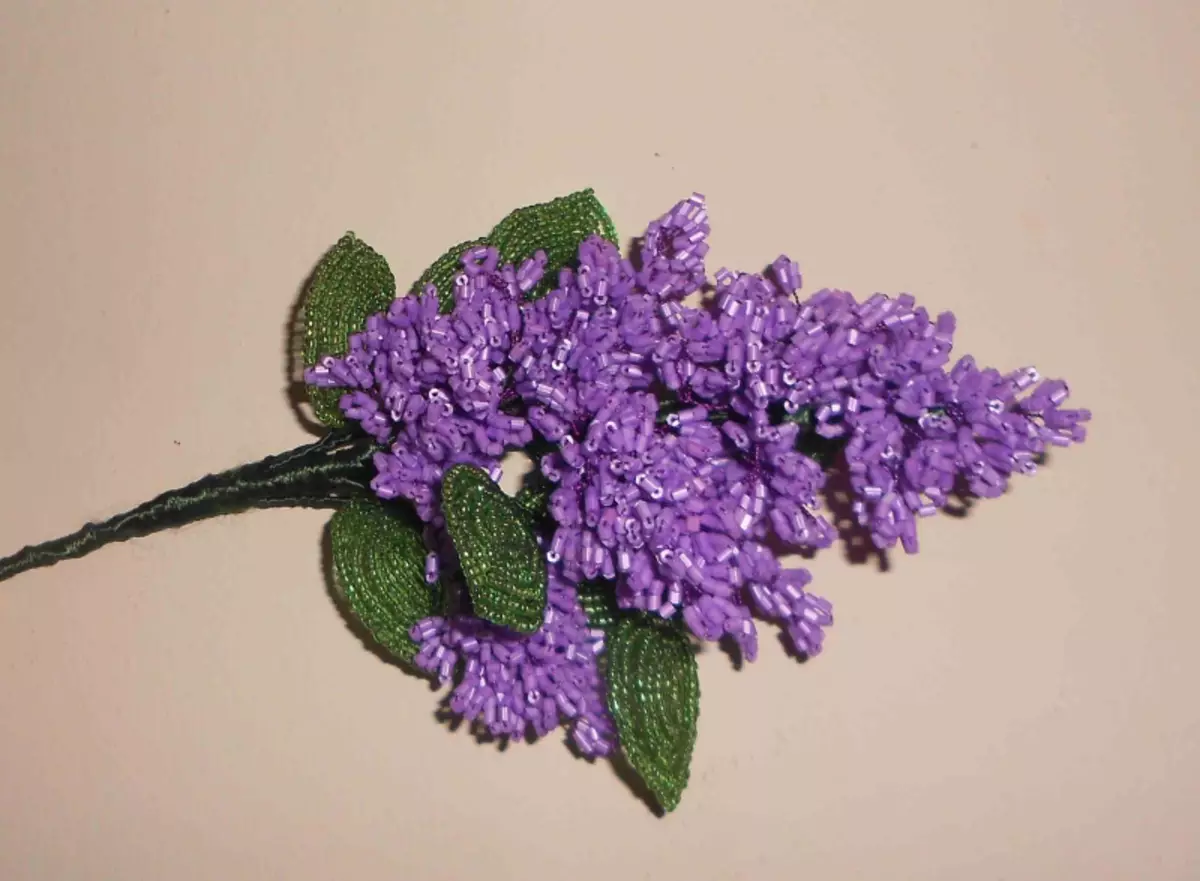Master class sulle perline Lilac: come fare un fiore con le tue mani con una foto e un video sulla tessitura