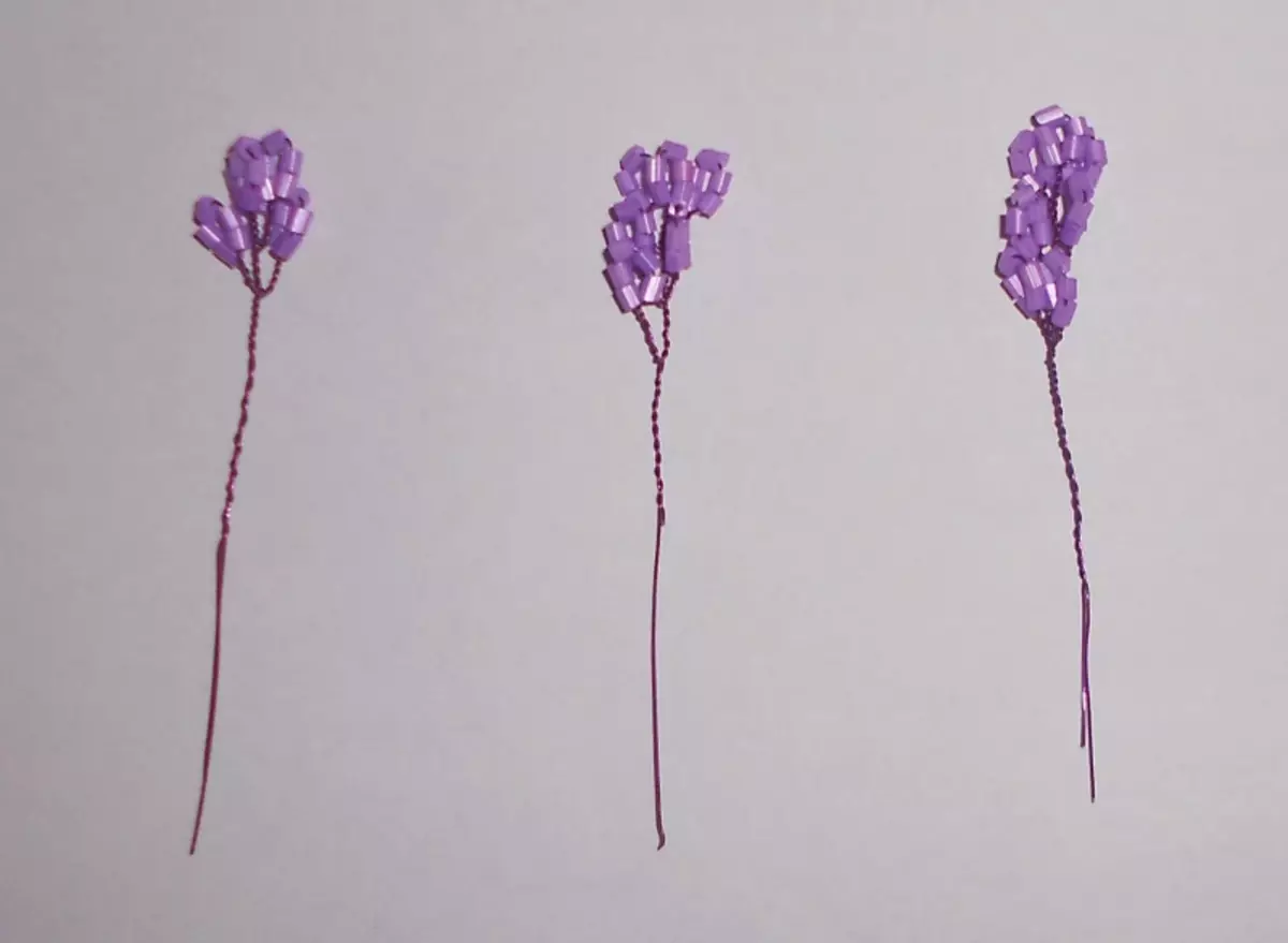 Lilac موتیوں پر ماسٹر کلاس: بنے ہوئے تصویر اور ویڈیو کے ساتھ اپنے ہاتھوں سے پھول کیسے بنانا