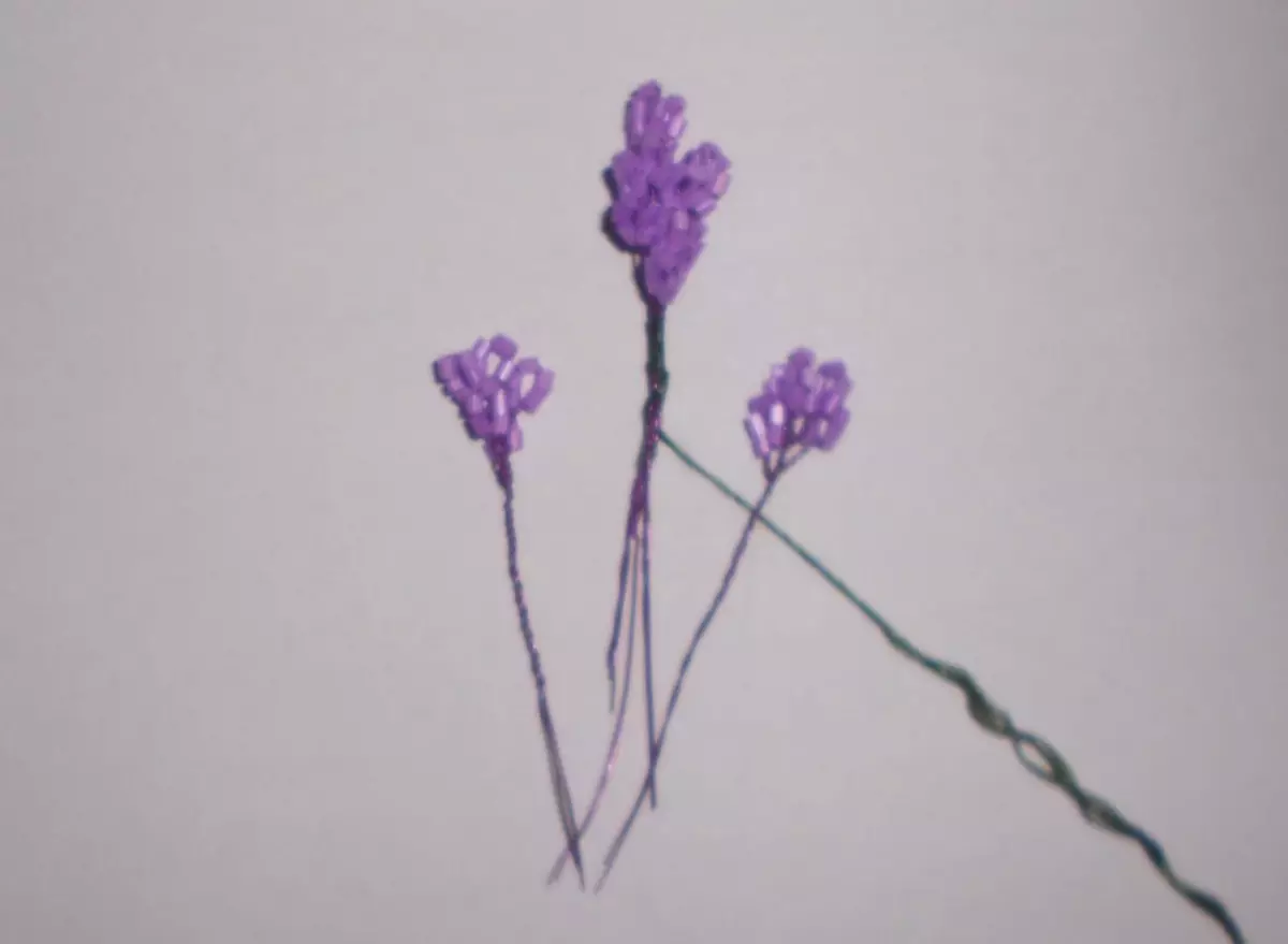 Klasa Master në Lilac Beads: Si për të bërë një lule me duart tuaja me një foto dhe video në thurje