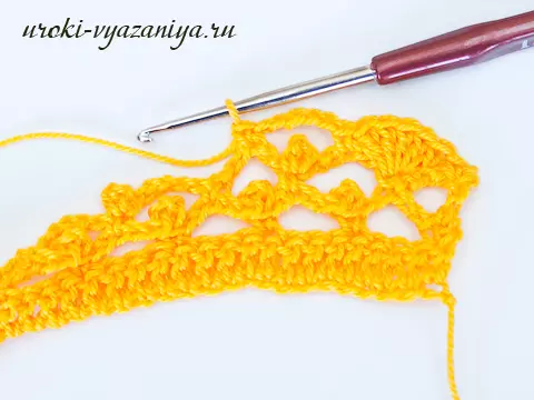 Budework Crochet Scarves: Tsarin makirci da kwatancin hotuna tare da hotuna da bidiyo