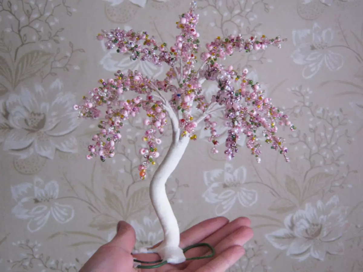 Master Class on Sakura από χάντρες με τα χέρια τους: Πώς να Evan το δέντρο με ένα σχέδιο, φωτογραφία και βίντεο
