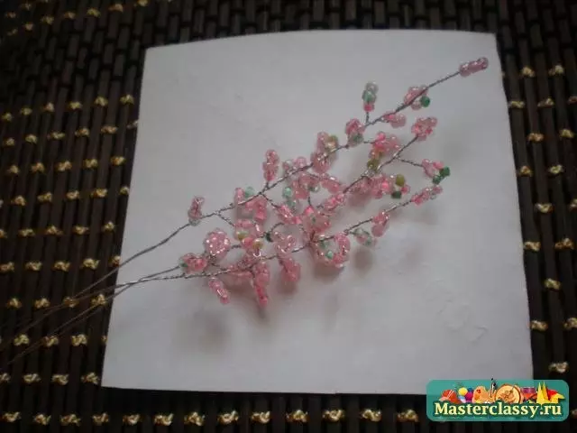 Masterclass op Sakura van kralen met hun eigen handen: hoe de boom te ontwikkelen met een schema, foto en video