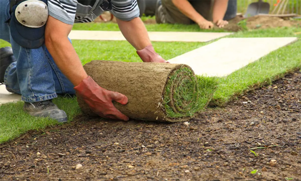 ROLLED LAWN ໃນເຂດຊົນນະບົດ: ທັງຫມົດ