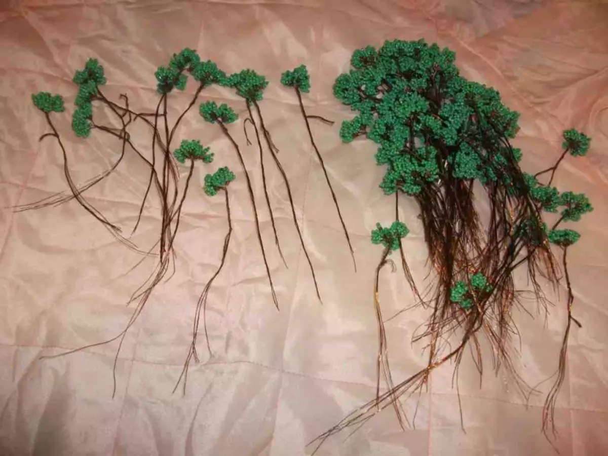 Kelas Master ing manik bonsai nganggo tangan dhewe: skema tenun kayu karo foto lan video