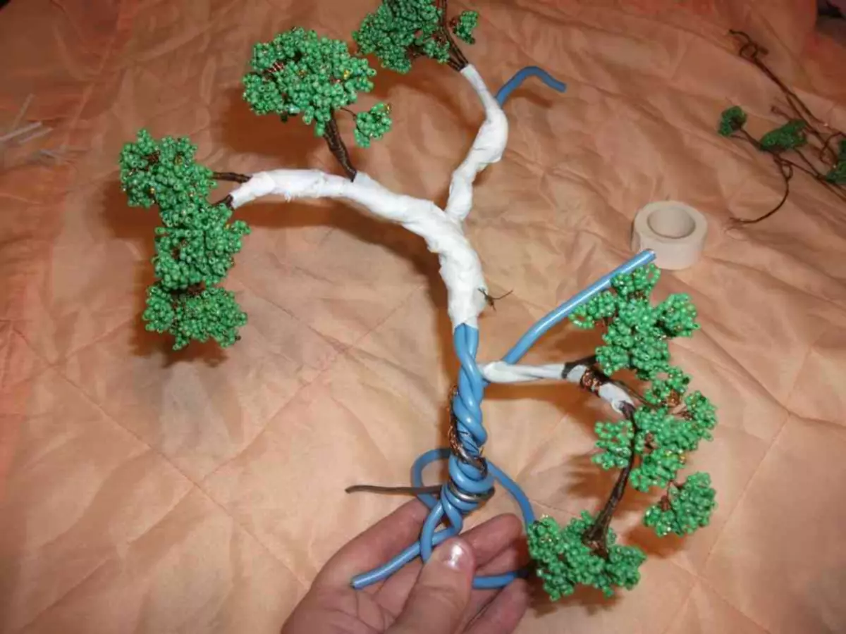 Meester klas op bonsai krale met eie hande: hout weefskema met foto's en video's