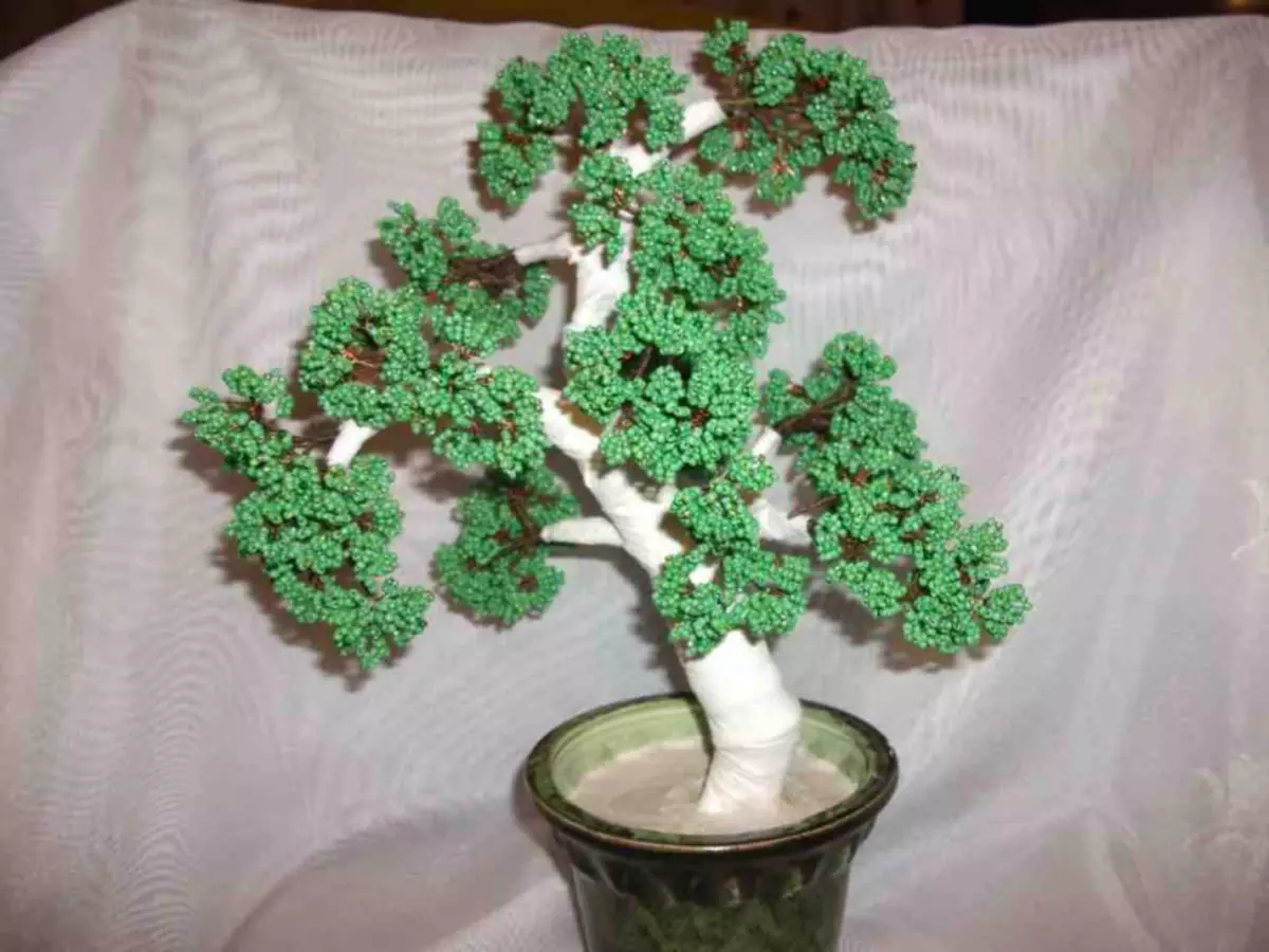 Klasa główna na bonsai koraliki z własnymi rękami: drewniany schemat tkactwa ze zdjęciami i filmami