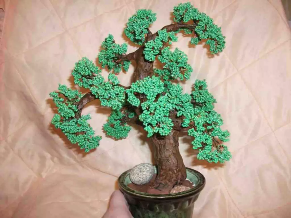 Master Class pada manik-manik bonsai dengan tangan mereka sendiri: Skema tenun kayu dengan foto dan video