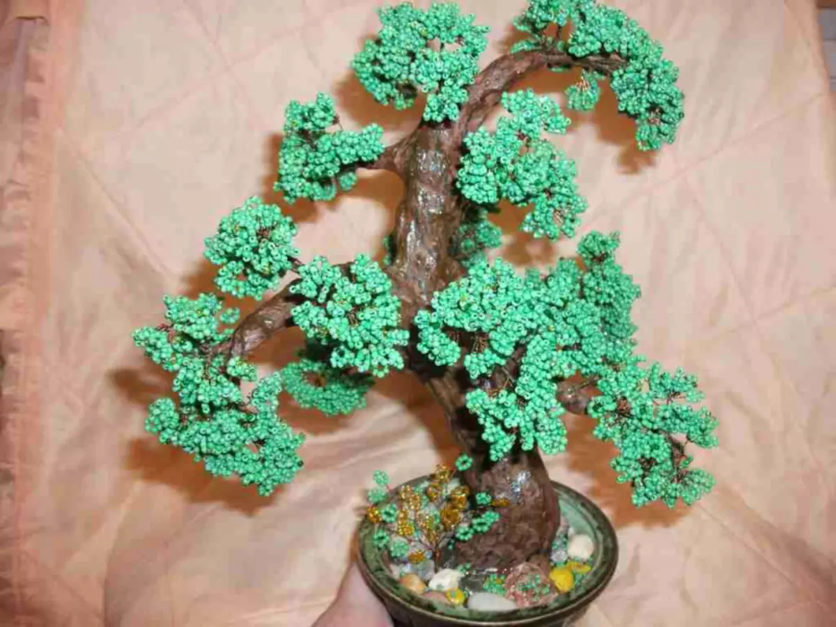 Master třída na bonsai korálky s vlastními rukama: Dřevěný tkaní schéma s fotkami a videa