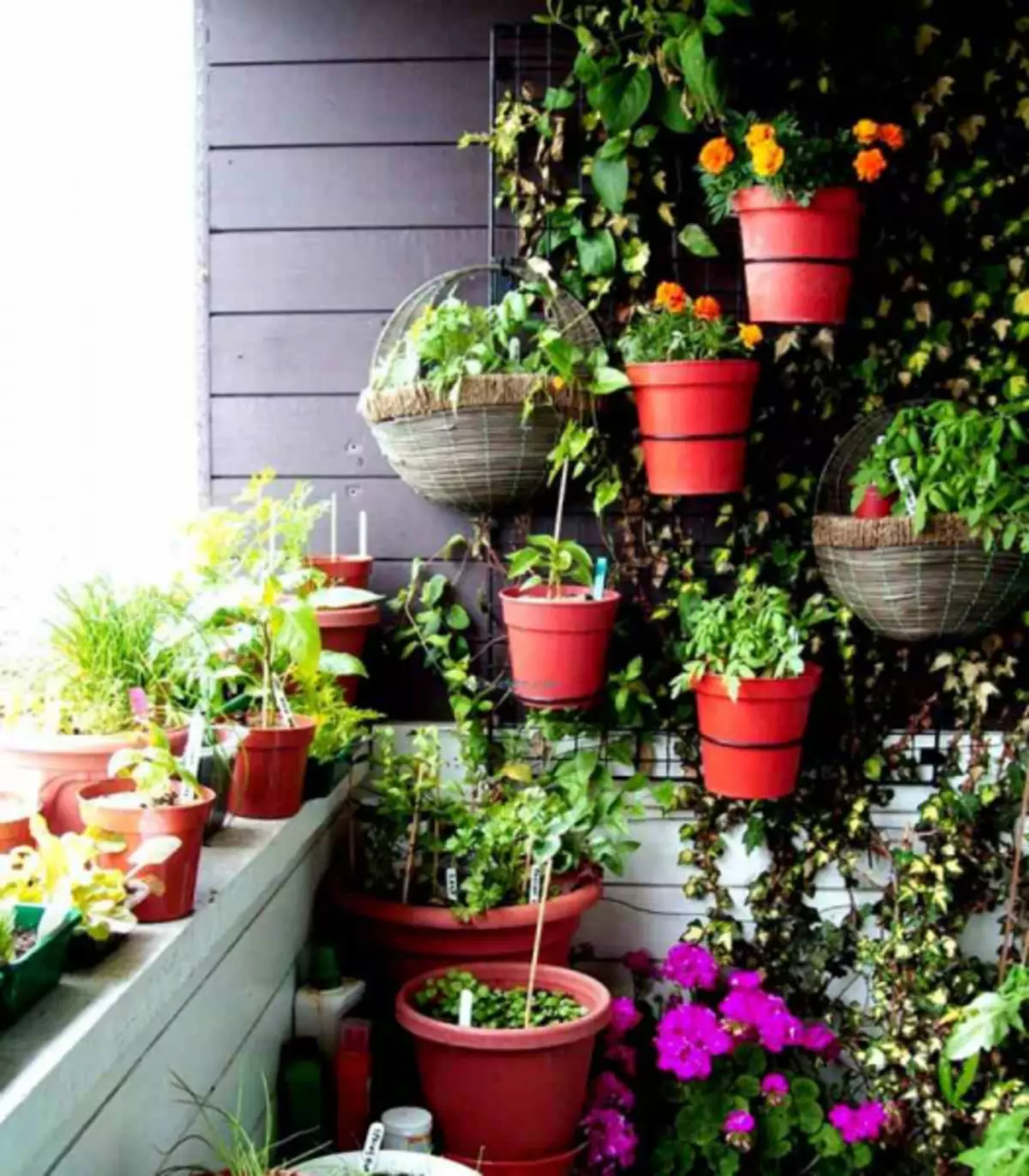 При какой температуре можно выносить комнатные цветы. Огород в кашпо. Комнатные растения на балконе. Цветы в горшках на балконе. Цветы в горшках на даче.