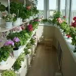 [Planten yn 'e hûs] Hokker blommen binne geskikt foar in sinne balkon?