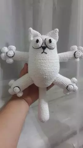 Amigurumi বিড়াল: প্রারম্ভিক জন্য ফটো এবং ভিডিও সঙ্গে পণ্য স্কিম