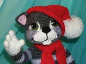 Catsên Amigurumi: Pîşesaziyên hilberê bi wêne û vîdyoyên ji bo destpêkan