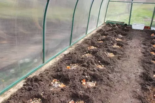 Ce qui est nécessaire pour mettre dans le puits lors de la plantation de tomates (vidéo)