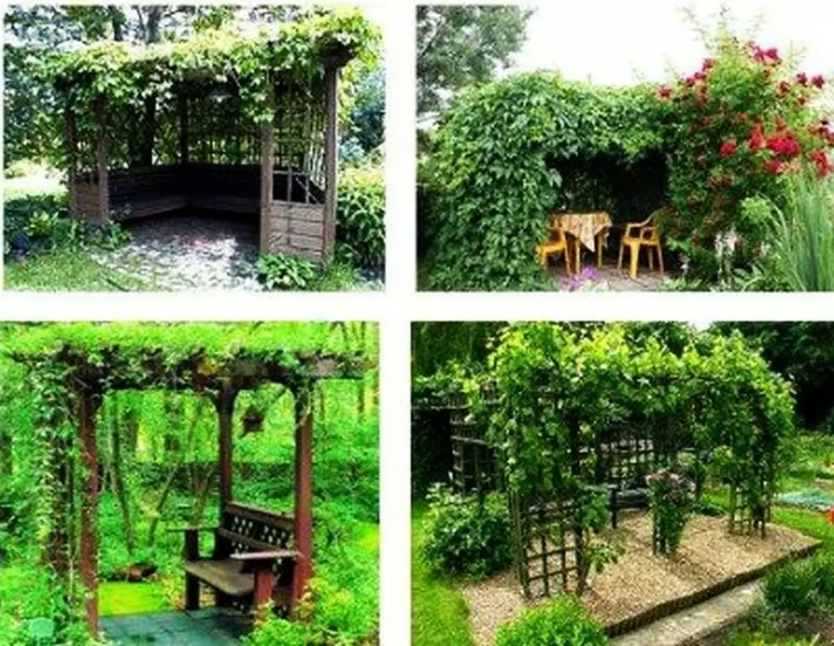 Gazons for å gi med egne hender: Et sted å slappe av under taket i hagen (40 bilder)