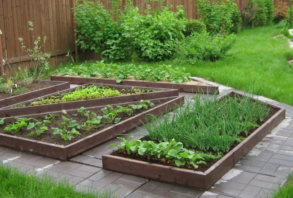 Ágynemű kerítés: Mit kell készíteni oldalakat és határokat a kertben (20 fotó)