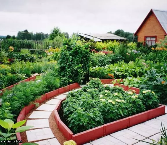 Omheining vir beddens: Wat om kante en grense in die tuin te maak (20 foto's)