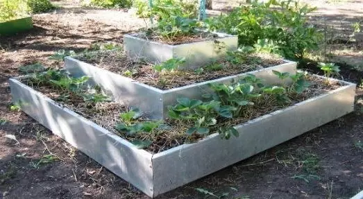 Recinzione per letti: cosa fare lati e bordi in giardino (20 foto)