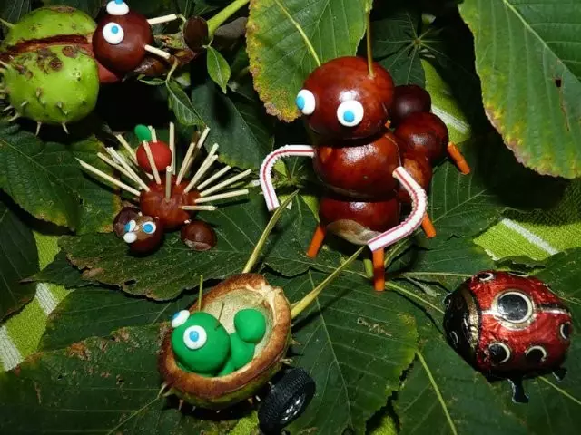 Topiary, Malam Tahun Baru, Hewan dan Kerajinan Lain dari Chestnuts (12 Foto)