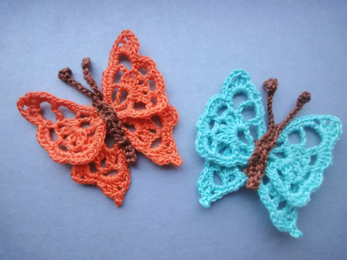 Labalaba Crochet: Awọn ẹkọ Fidio fun awọn olubere pẹlu awọn fọto