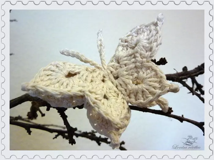Crochet Butterfly: video nodarbības iesācējiem ar fotogrāfijām