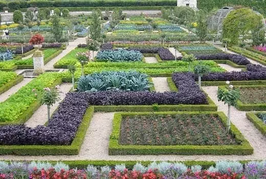 Modern trädgård och dess design: vackra sängar på din dacha (35 bilder)