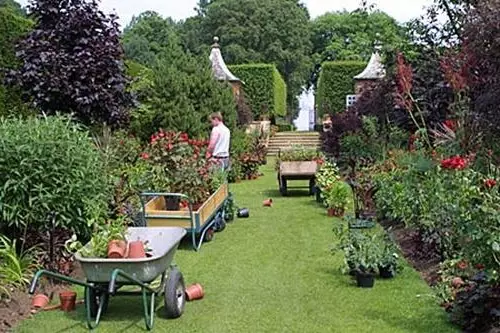 Модерна градина и нейният дизайн: красиви легла на вашата дача (35 снимки)