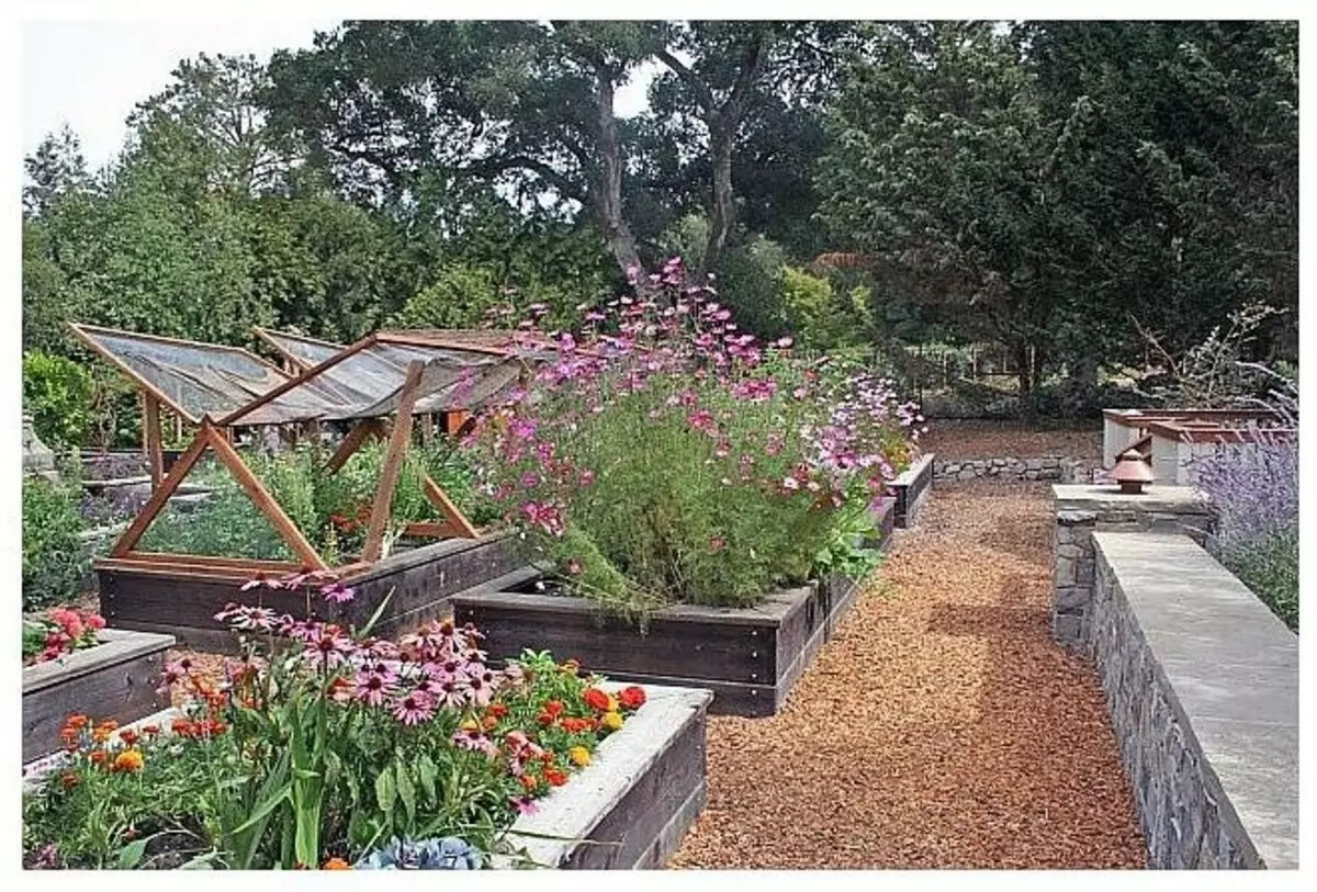 Modern Garden y su diseño: hermosas camas en su dacha (35 fotos)