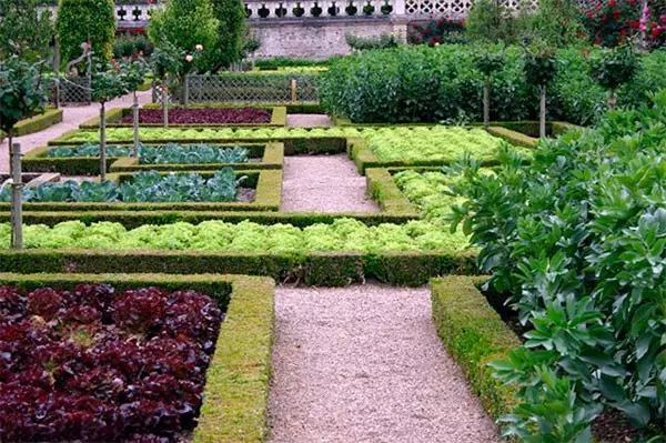 Modern trädgård och dess design: vackra sängar på din dacha (35 bilder)