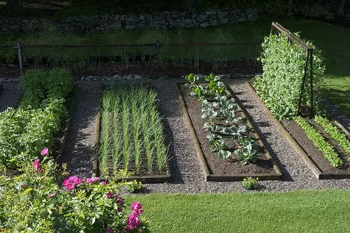 Moderní zahrada a jeho design: krásné postele na vašem DACHA (35 fotek)