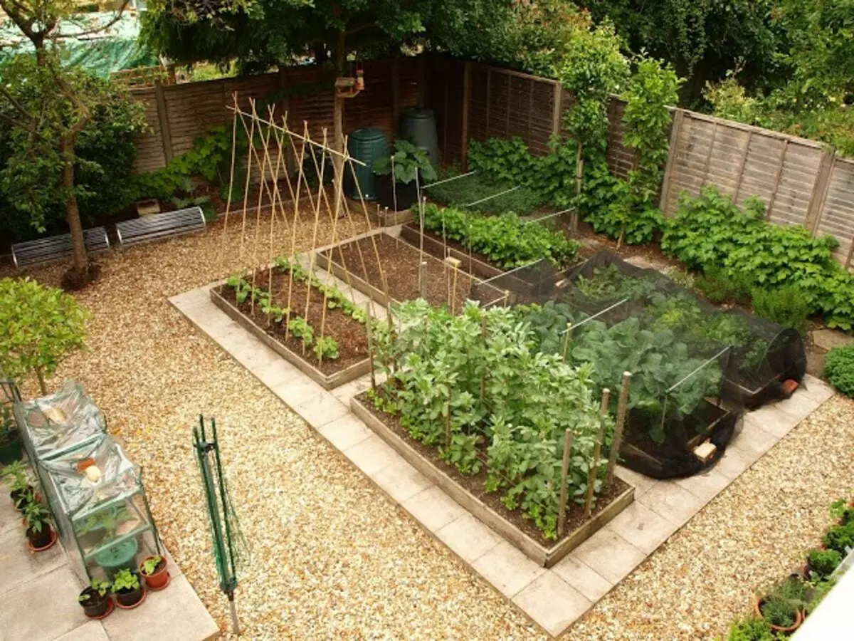 Модерна градина и нейният дизайн: красиви легла на вашата дача (35 снимки)