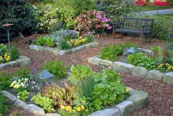 현대 정원과 그 디자인 : 당신의 다치에 아름다운 침대 (35 장의 사진)