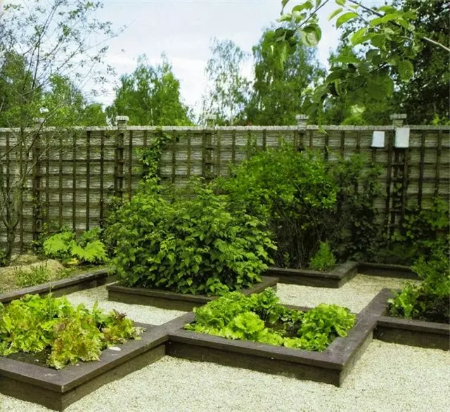 Giardino moderno e design: bellissimi letti sulla tua dacha (35 foto)