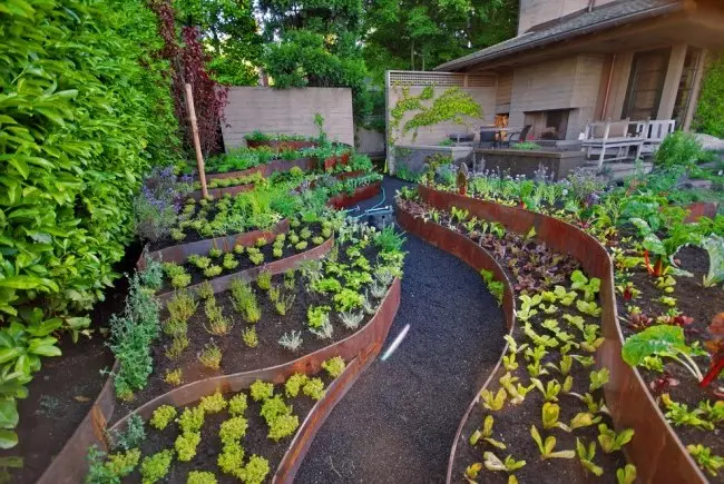 Grădină modernă și designul său: paturi frumoase pe dacha dvs. (35 de fotografii)