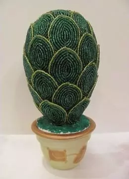 I-Bead Cactus: Isikimu sokuluka kanye ne-cactus imbali yezimbali ze-master ngesithombe nevidiyo