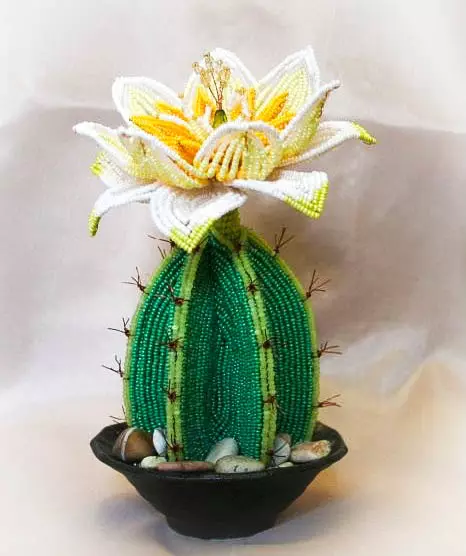 Bead Cactus: Schema de țesut și Cactul Master de flori Cactus cu fotografie și video