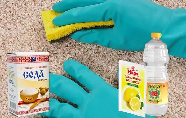 Cara membawa bau urin dari karpet