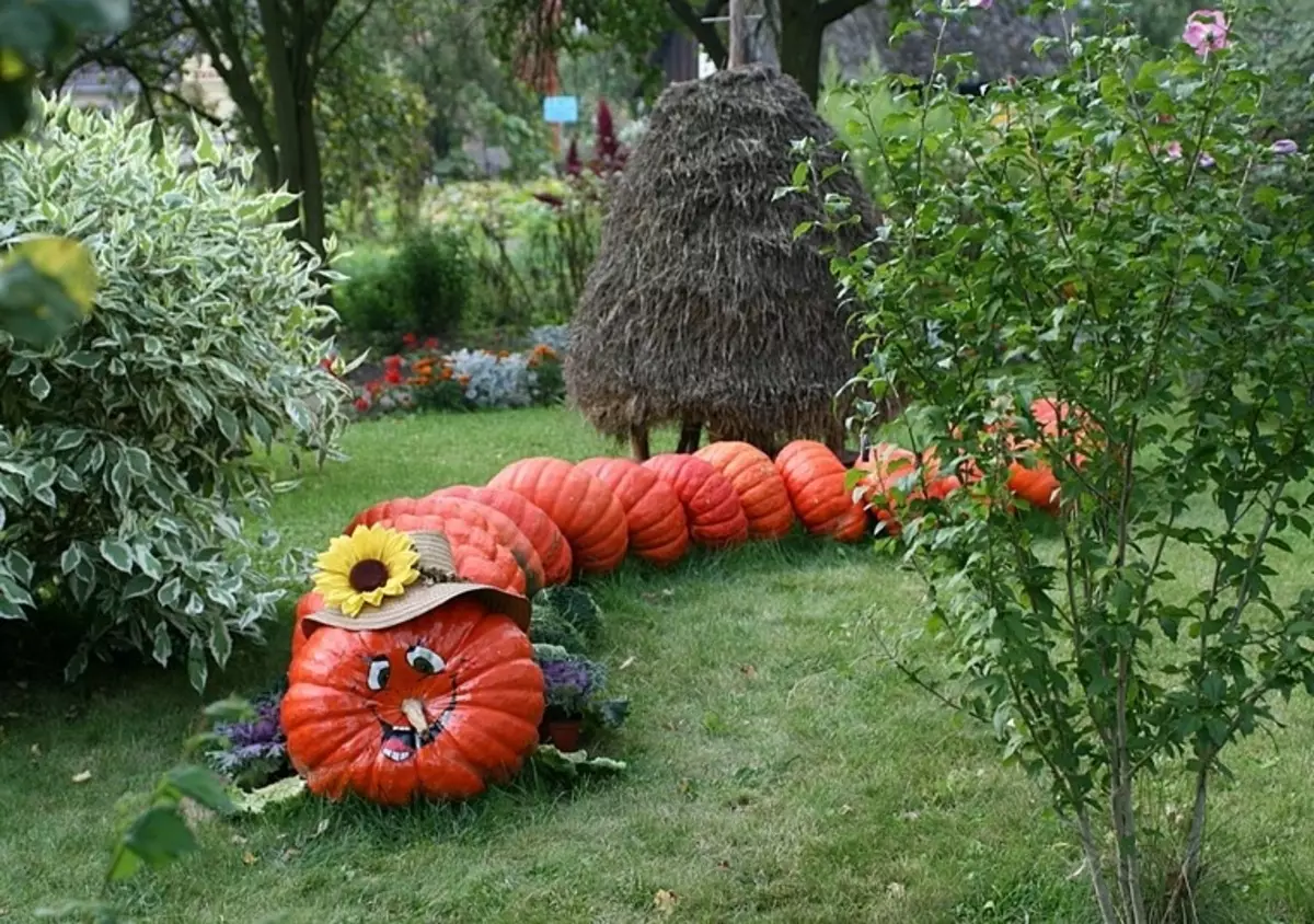 Nous fabriquons des bijoux de citrouille pour le jardin, les chalets et les maisons avec leurs propres mains (38 photos)